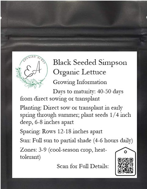 Black Seeded Simpson Organic Lettuce