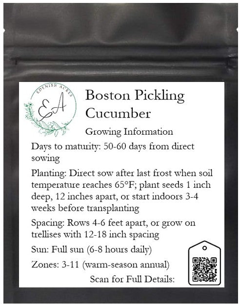 Boston Pickling Cucumber