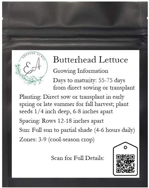 Butterhead Lettuce