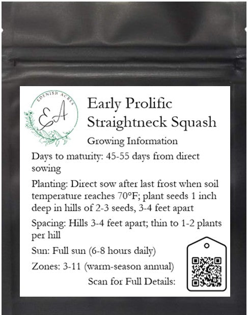 Early Prolific Straightneck Squash