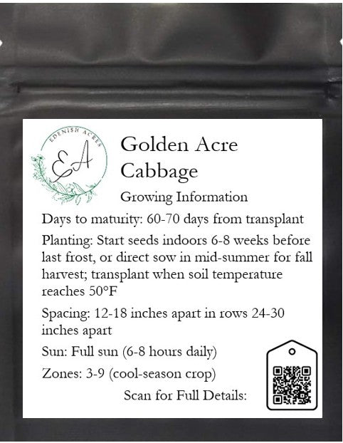 Golden Acre Cabbage