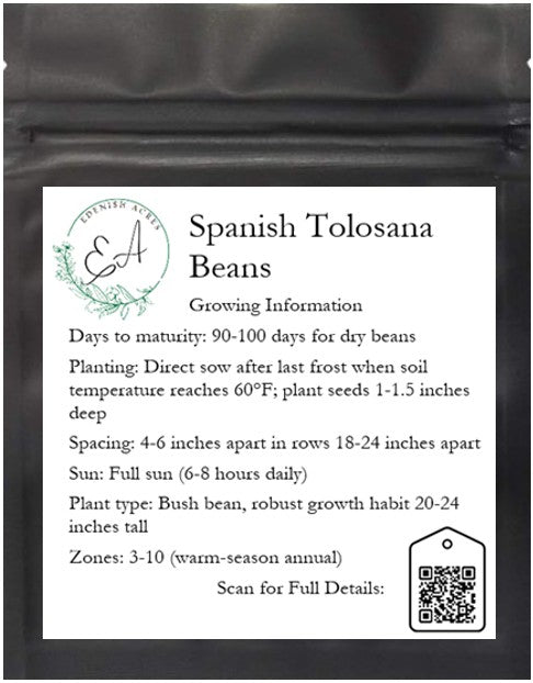 Spanish Tolosana Beans