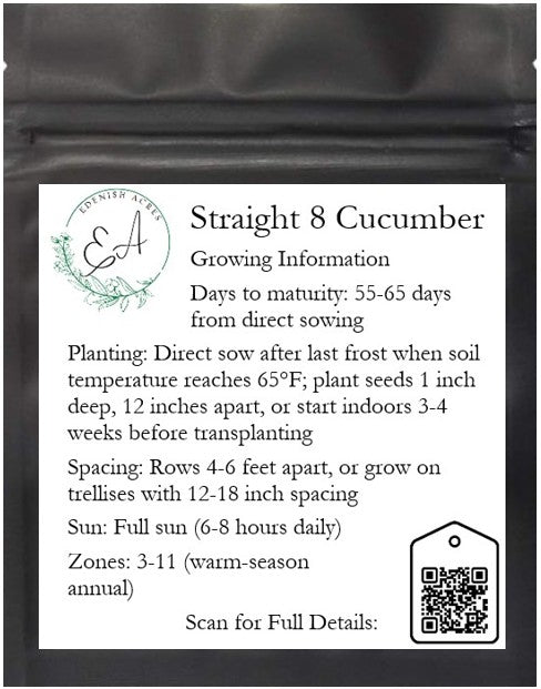 Straight 8 Cucumber