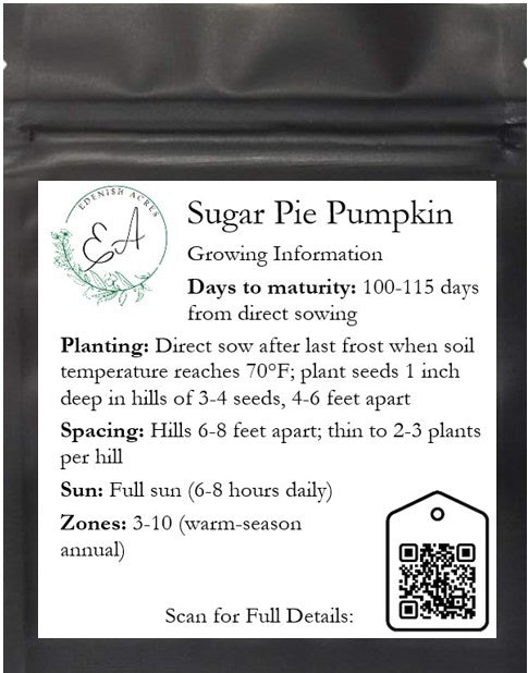 Sugar Pie Pumpkin