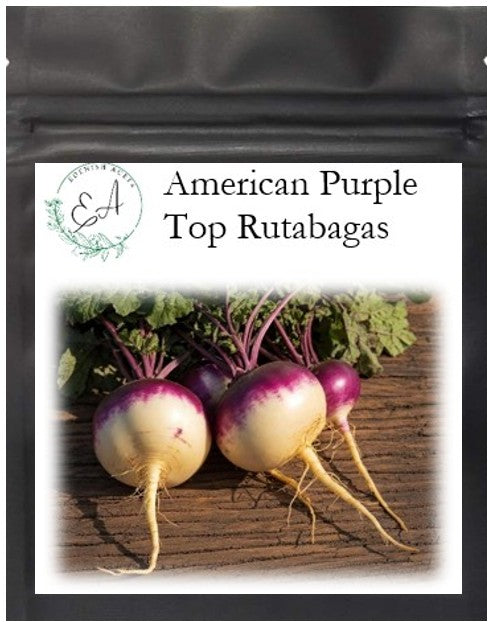 American Purple Top Rutabagas