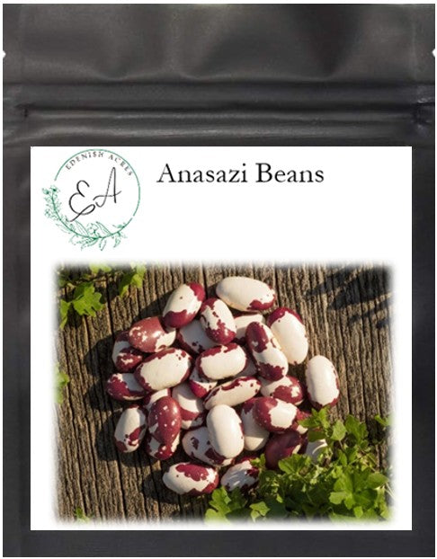 Anasazi Beans