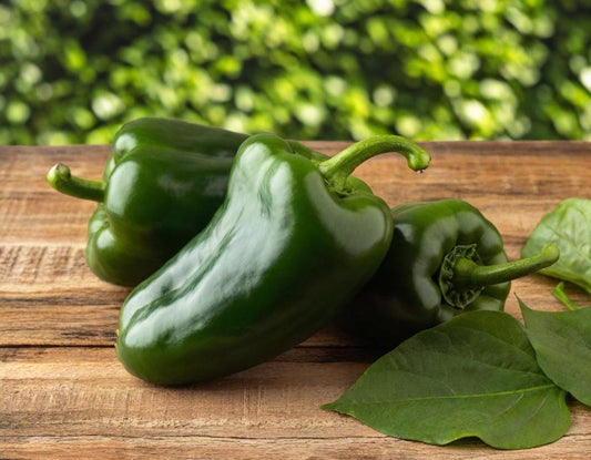 Ancho Poblano Hot Peppers
