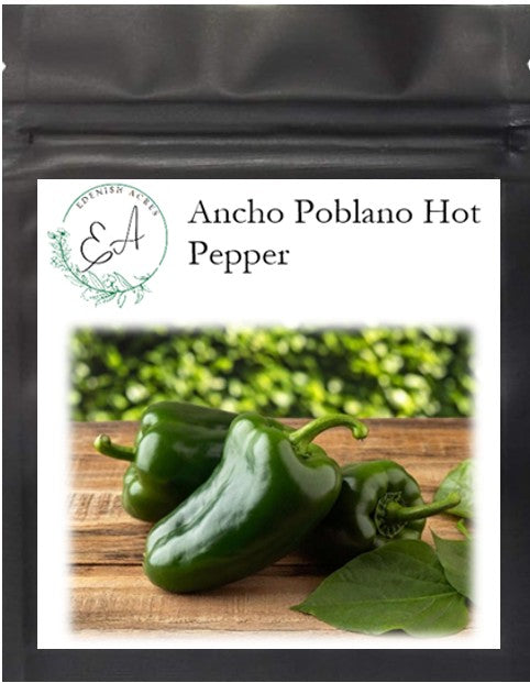 Ancho Poblano Hot Peppers