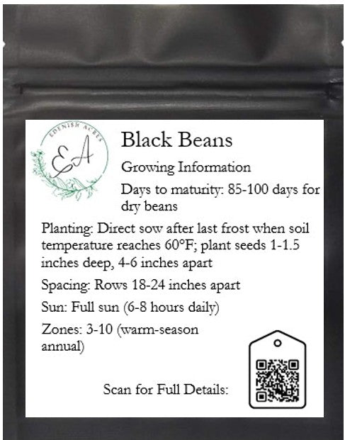 Black Beans