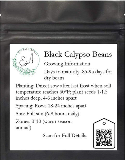 Black Calypso Beans