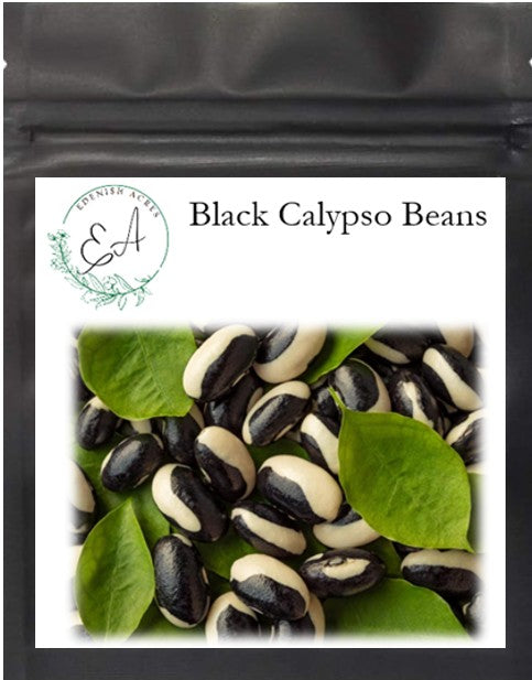 Black Calypso Beans