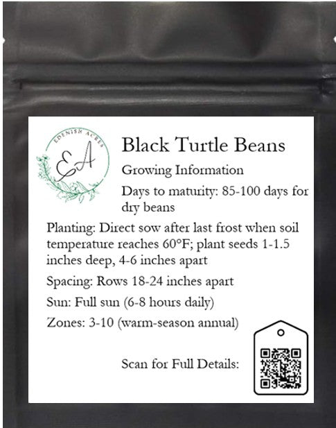 Black Turtle Beans