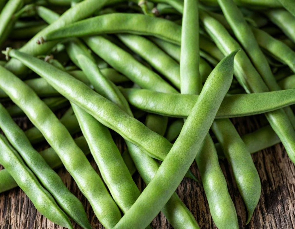 Blue Lake Bush Beans
