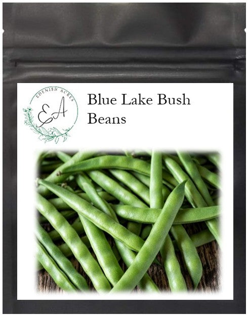 Blue Lake Bush Beans