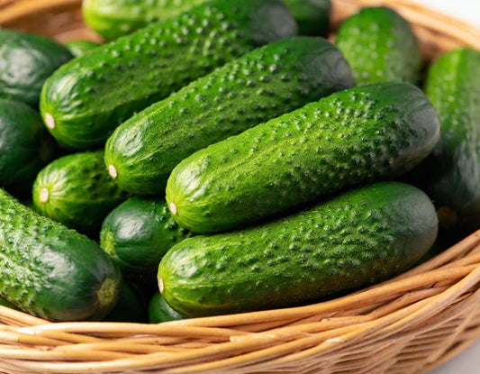 Boston Pickling Cucumber