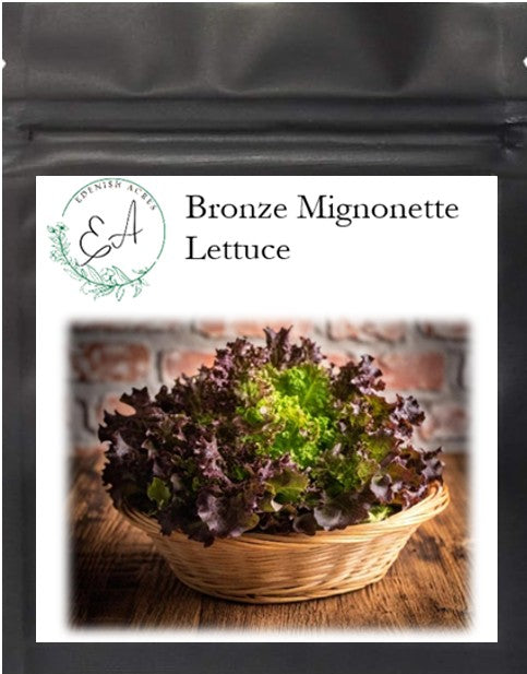 Bronze Mignonette Lettuce