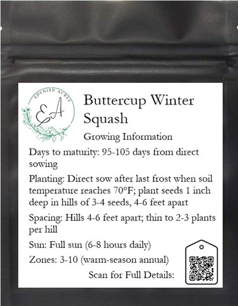 Buttercup Winter Squash