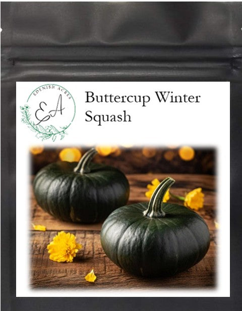 Buttercup Winter Squash