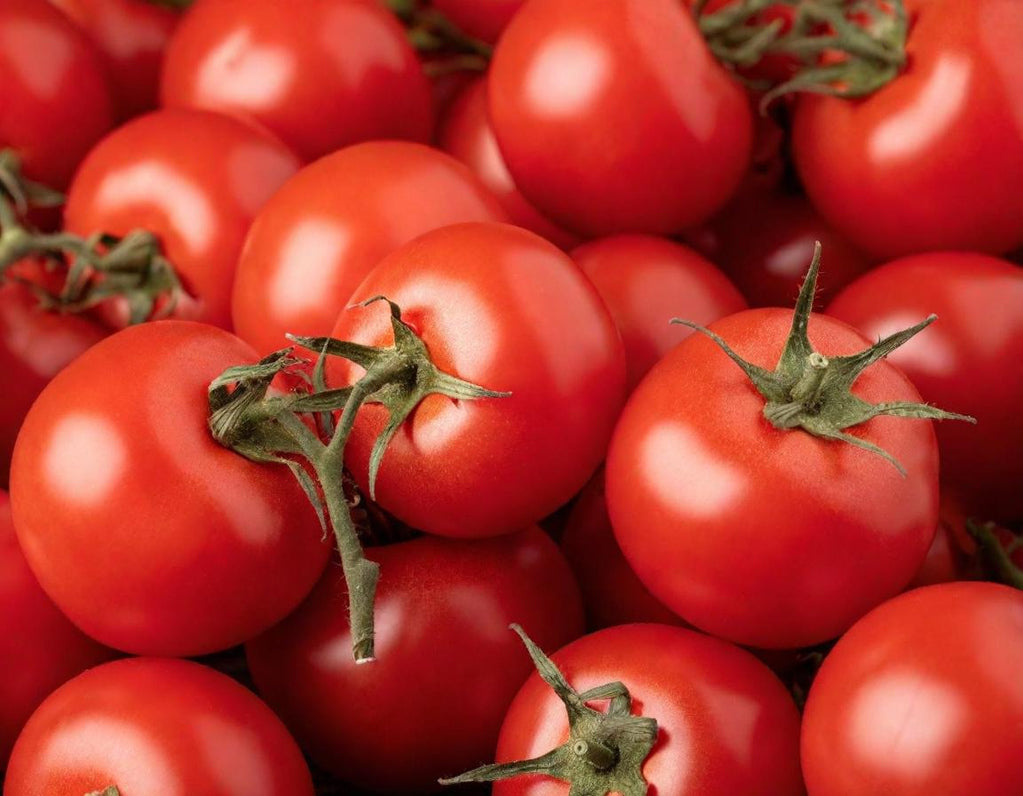 Campbell 33 Tomato