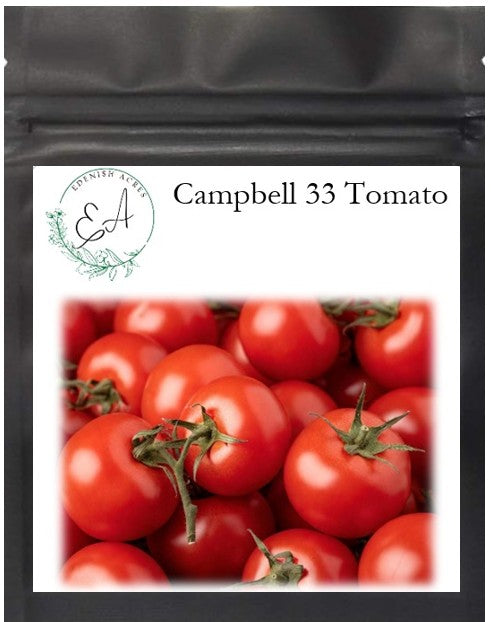 Campbell 33 Tomato