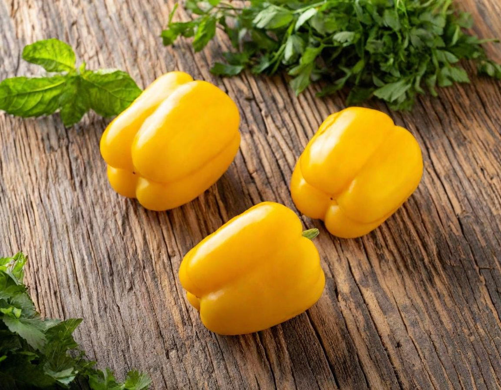 Canary Sweet Bell Peppers