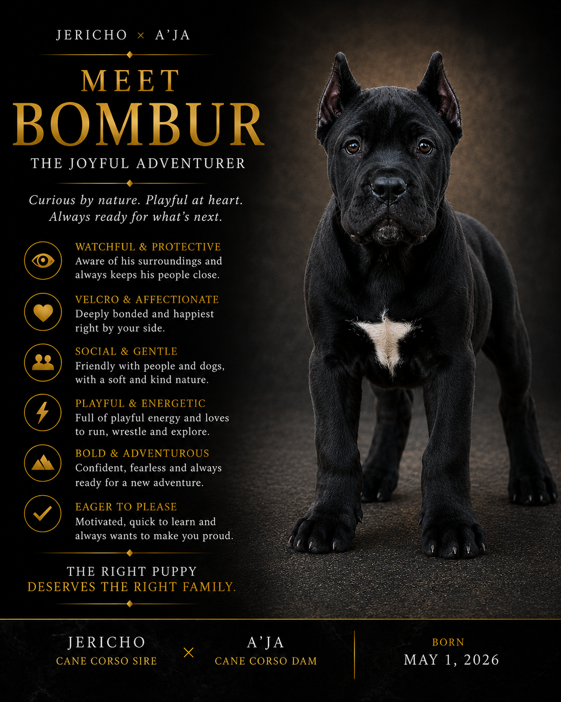 Bombur - The Joyful Adventurer