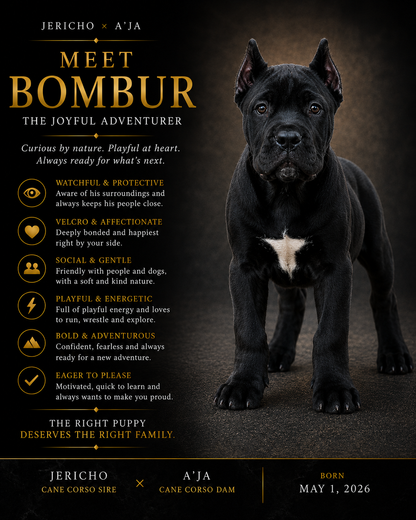Bombur - The Joyful Adventurer