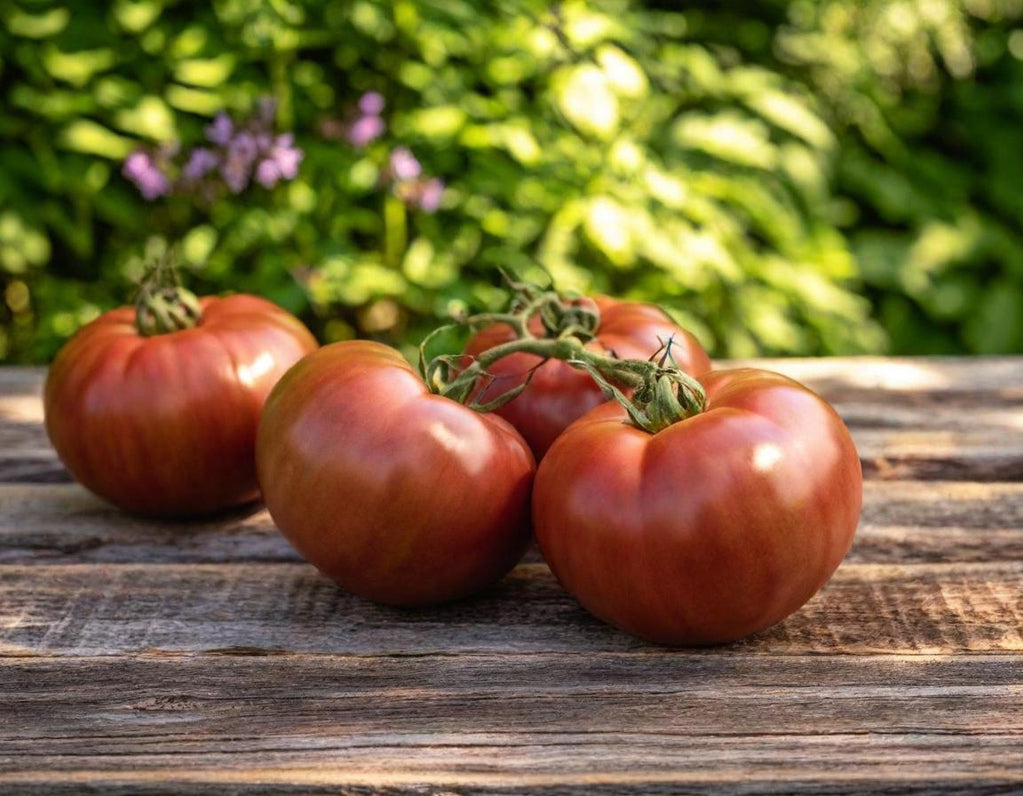 Cherokee Purple Organic Beefsteak Tomato