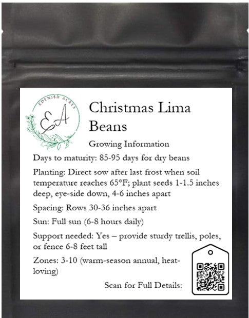 Christmas Lima Beans