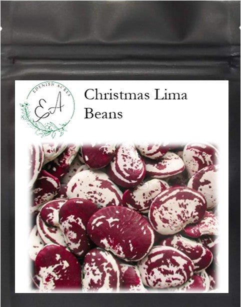 Christmas Lima Beans