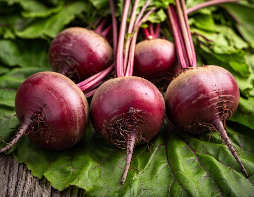 Detroit Dark Red Beets