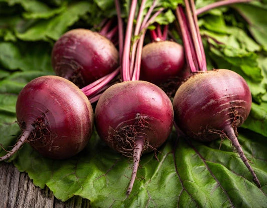 Detroit Dark Red Beets