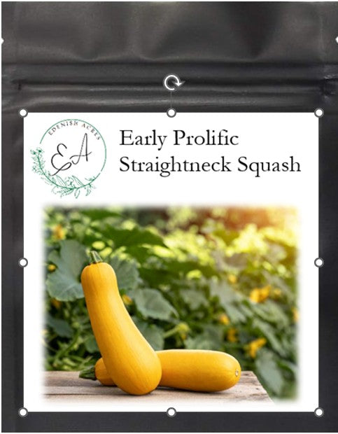 Early Prolific Straightneck Squash