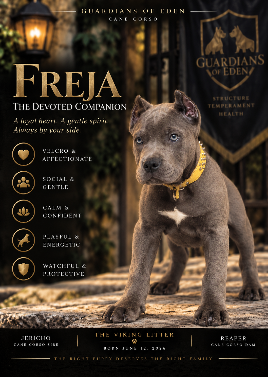 Freja - The Devoted Companion