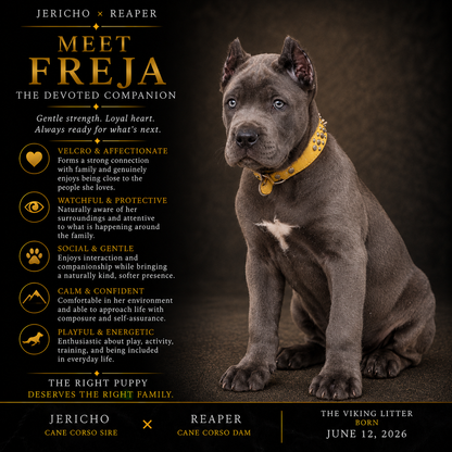 Freja - The Devoted Companion