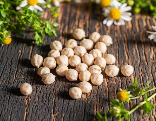 Garbanzo Beans