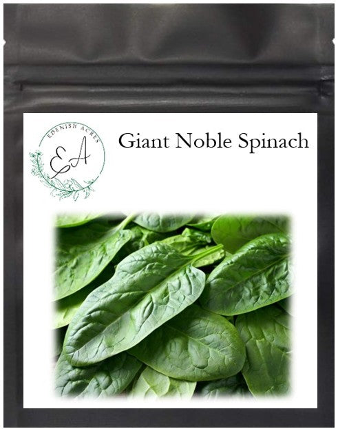 Giant Noble Spinach