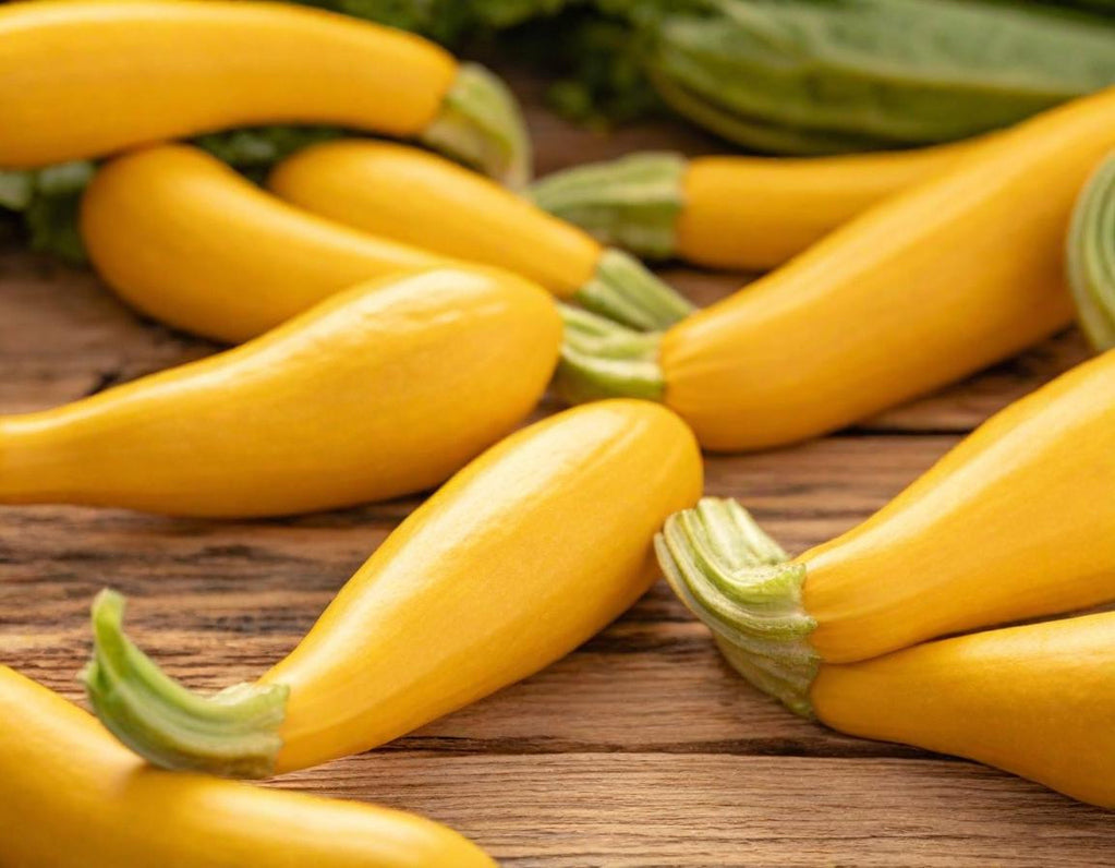 Golden Crookneck Summer Squash