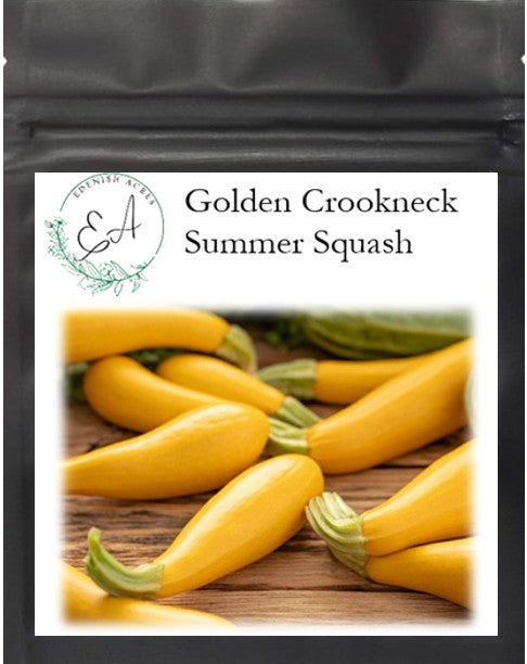 Golden Crookneck Summer Squash