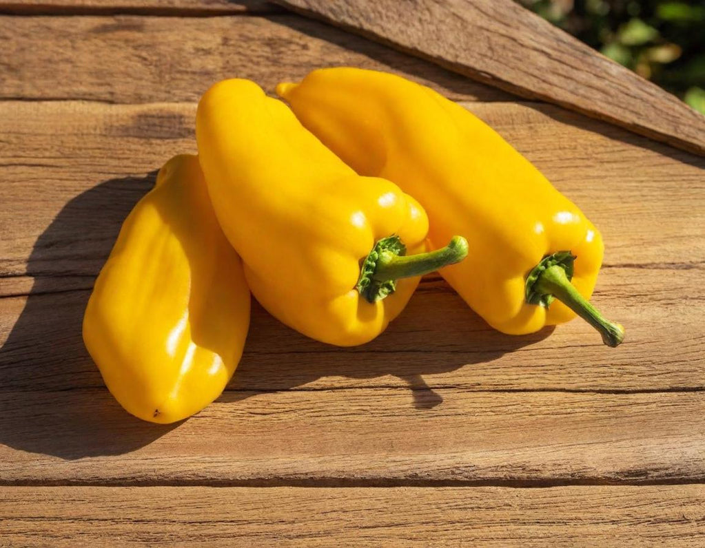 Golden Marconi Sweet Peppers