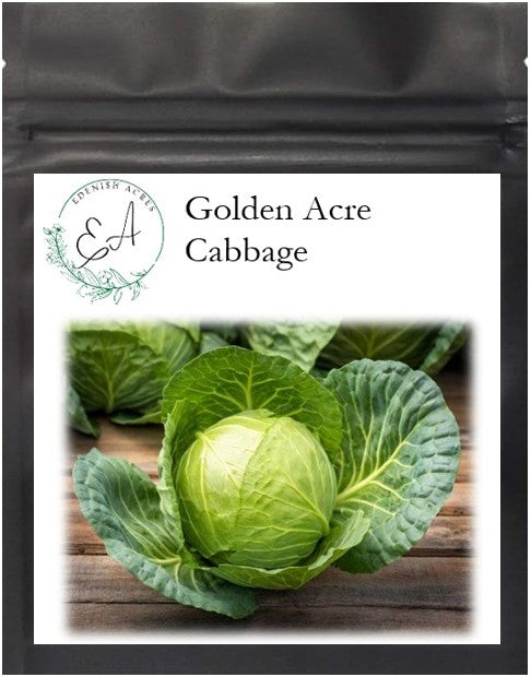 Golden Acre Cabbage