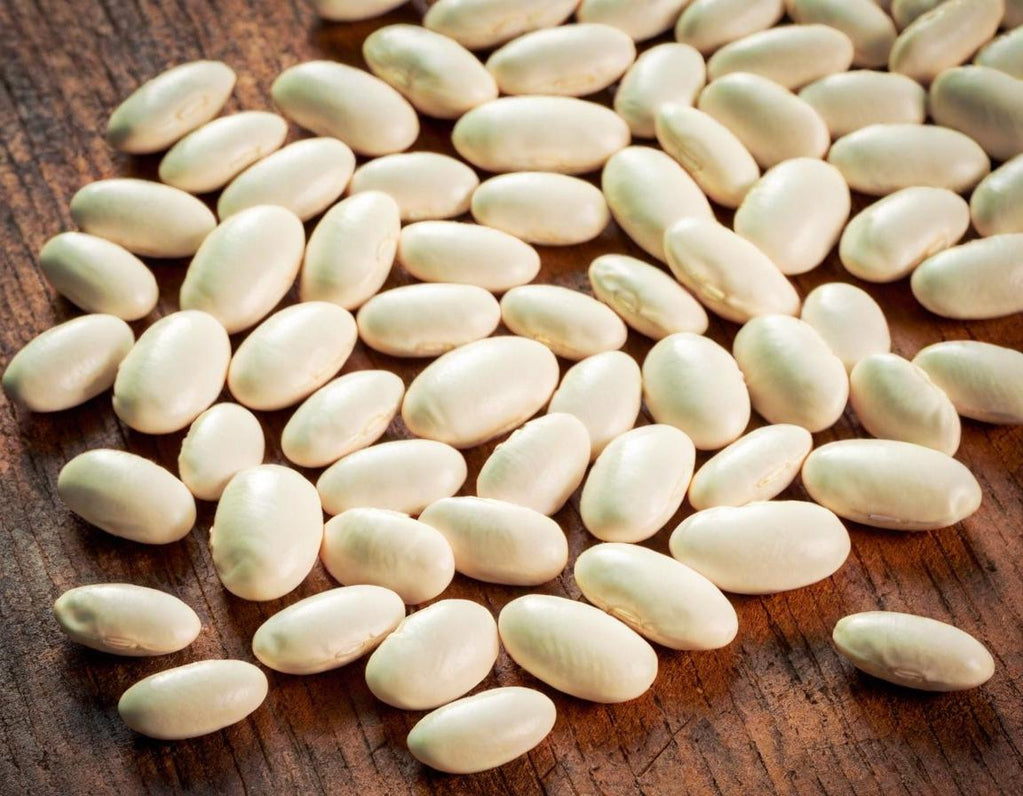 Great Northern Beans