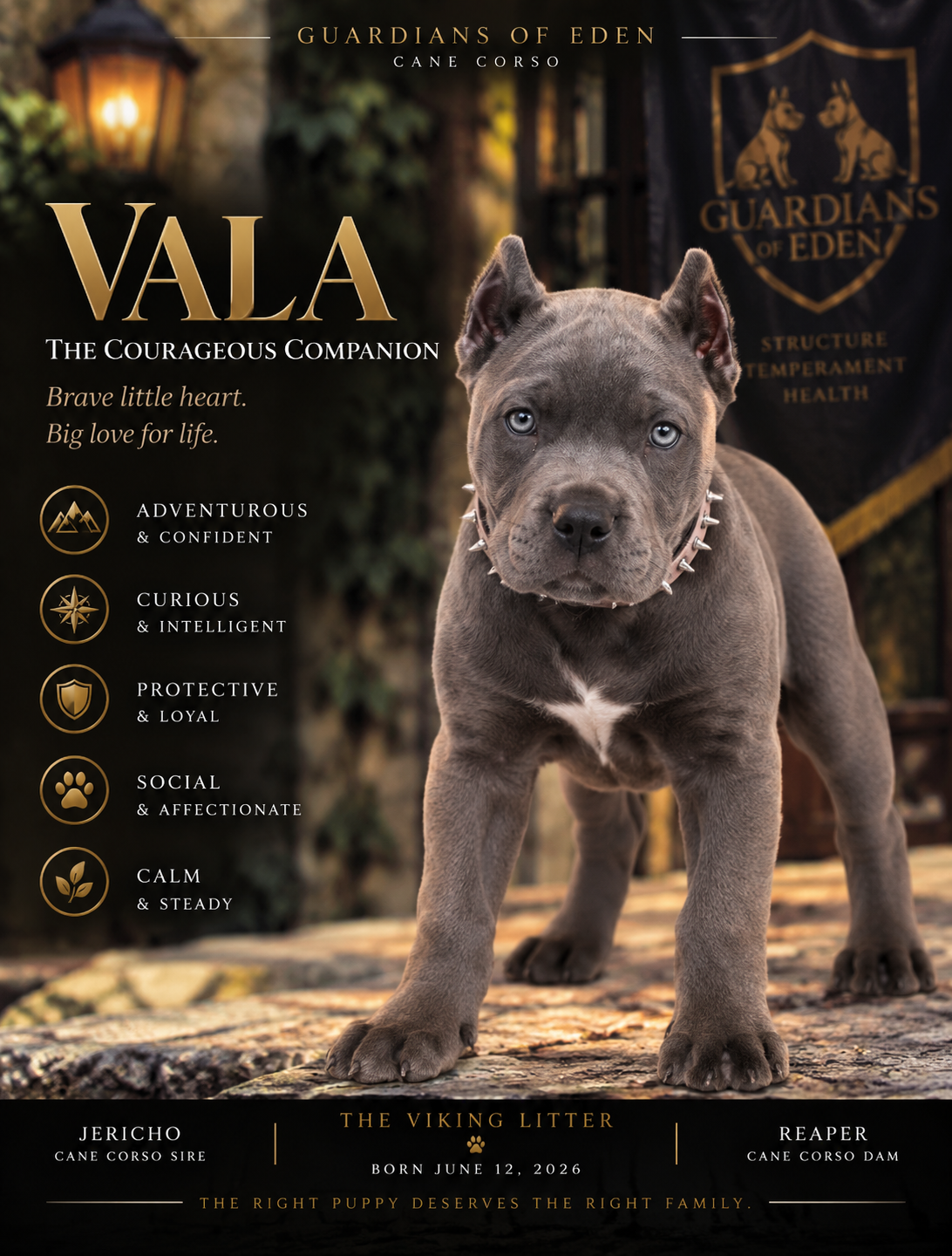 Vala - South Carolina