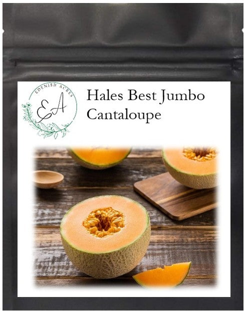 Hales Best Jumbo Cantaloupe