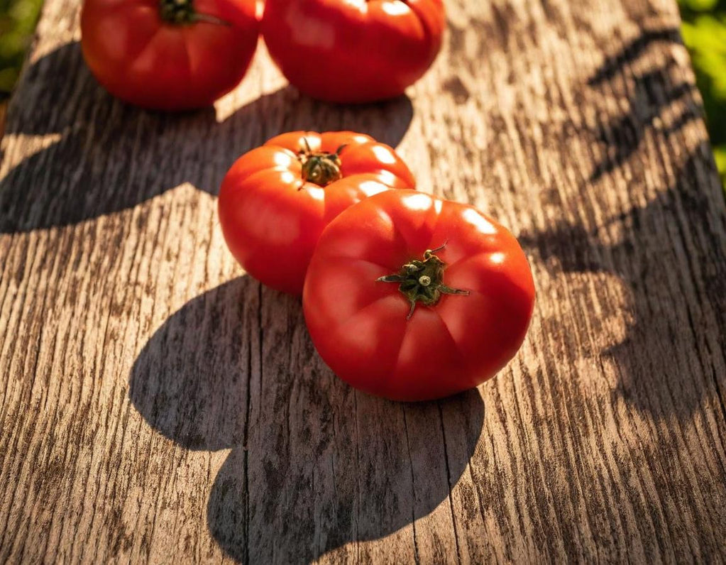 Homestead Organic Tomato