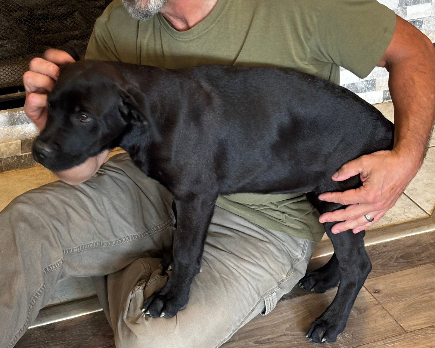 Red Collar - Black Female