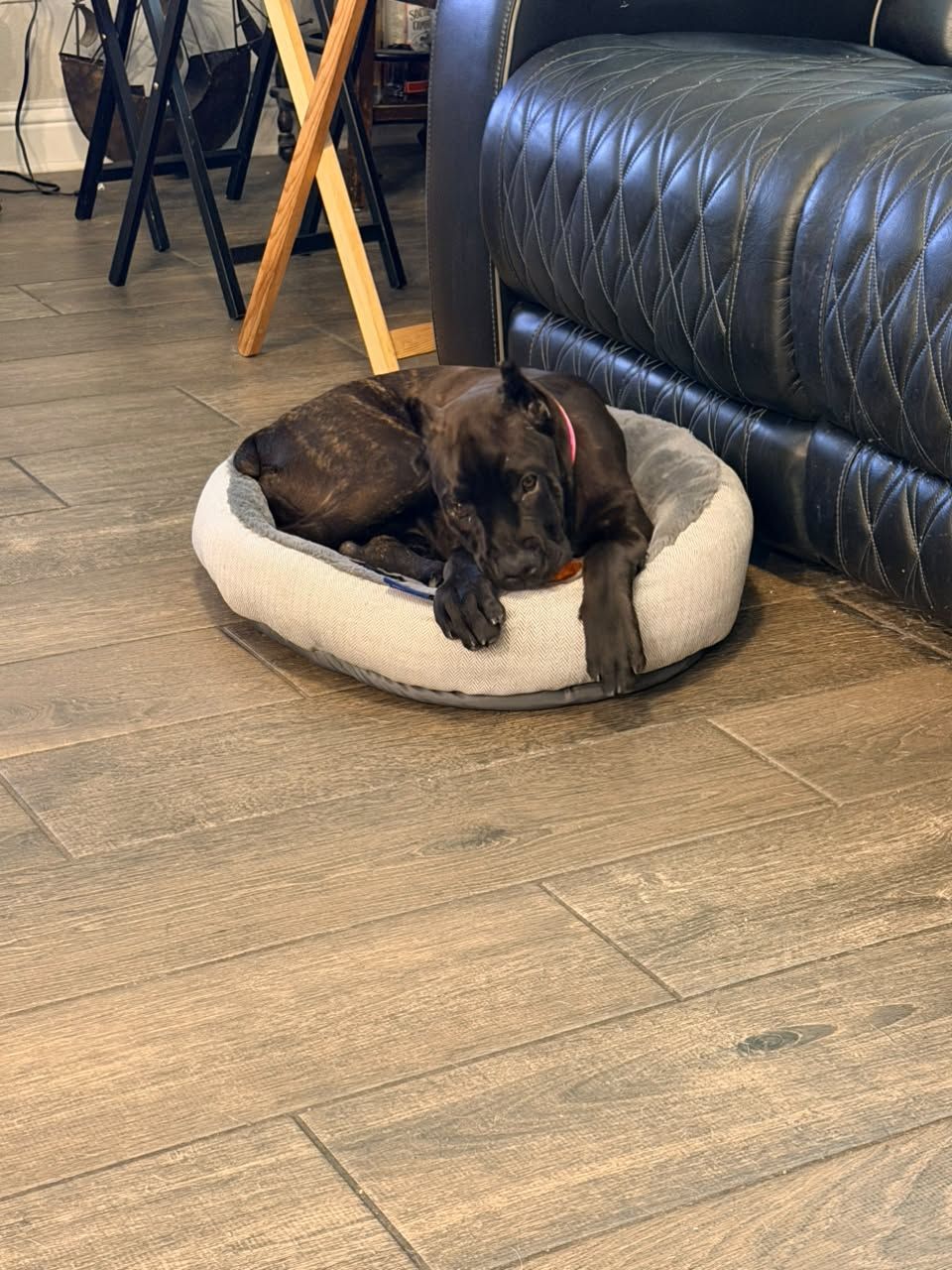 Xena - Texas
