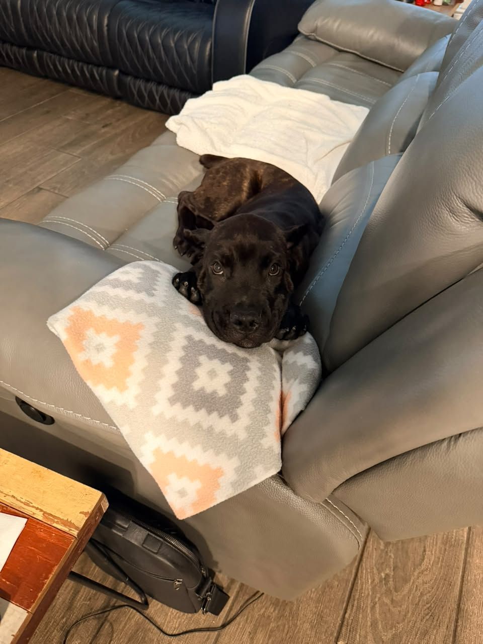 Xena - Texas