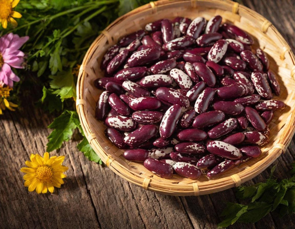 Jacob's Cattle Beans