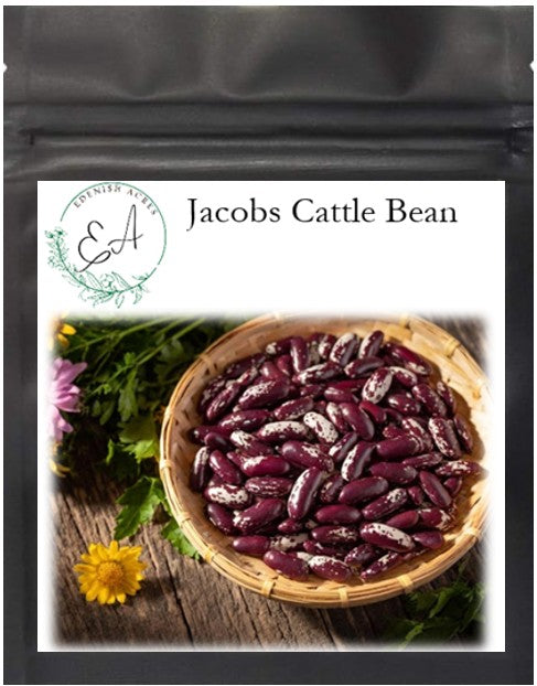Jacob's Cattle Beans